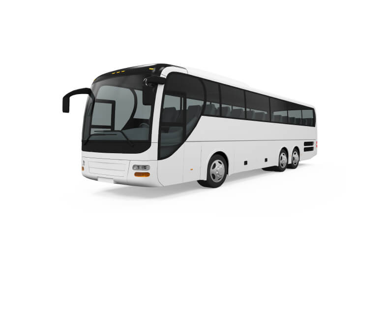 Bus-Führerschein